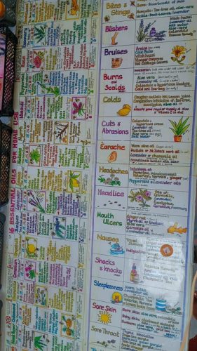 WhatsApp-Image-2026-01-27-at-2.13.27-PM